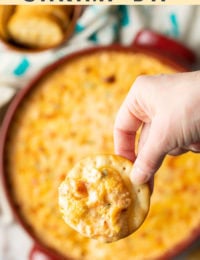 Cajun Shrimp Dip Pin