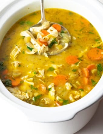 chicken noodle soup